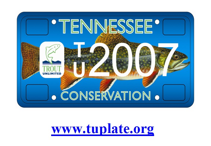 TU Plate